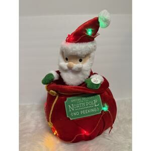 Gemmy Wondershop Animated Santa Toy Bag Christmas Musical Lighted Plush WORKS